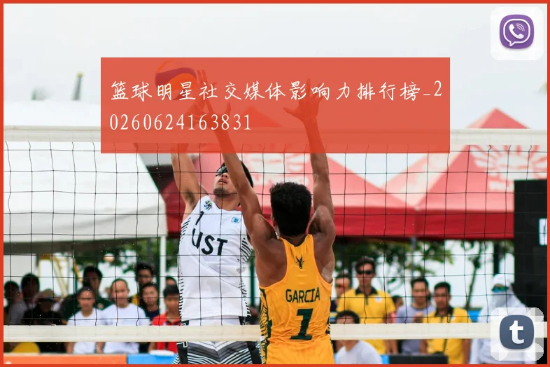 篮球明星社交媒体影响力排行榜_20260624163831